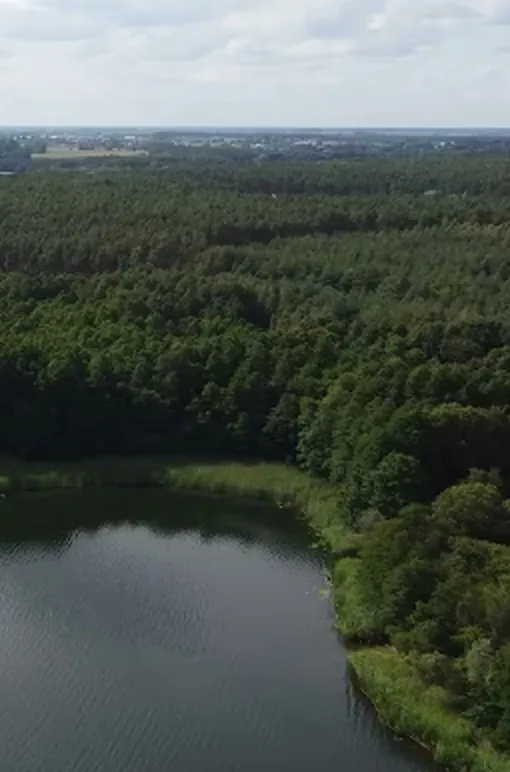 Widok z drona na las i jezioro obok domu